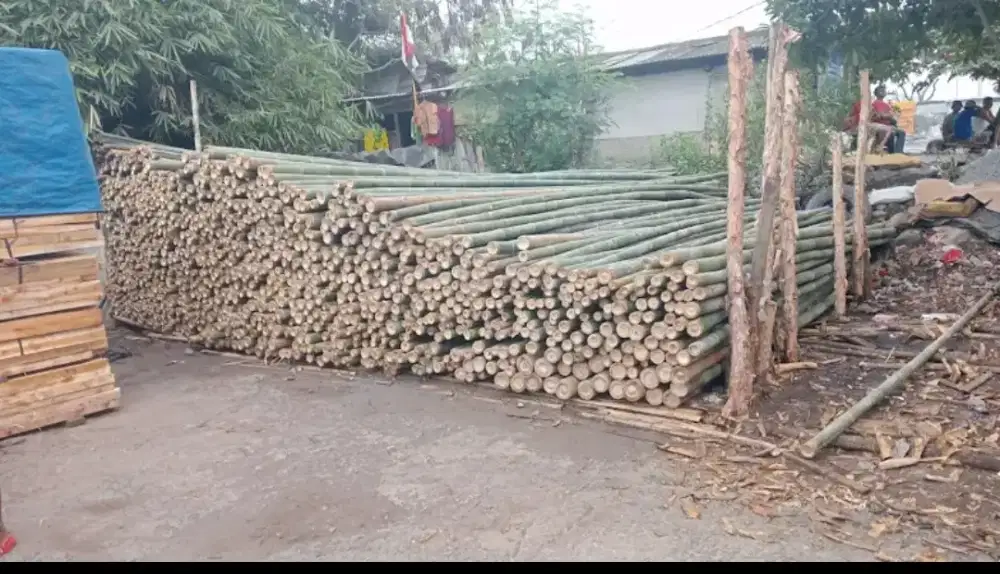 Jual bambu steger cor 6 meter