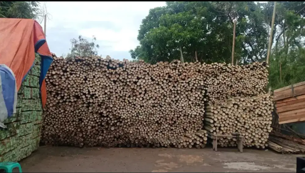 Jual bambu steger, kaso, triplek, balok dll