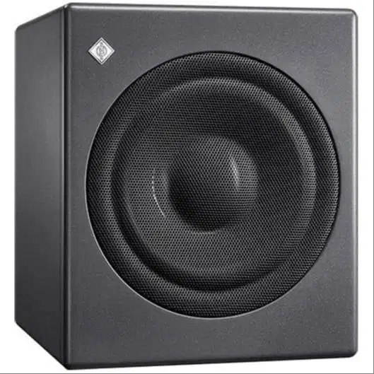 Neumann Active Studio Model KH 750DSP