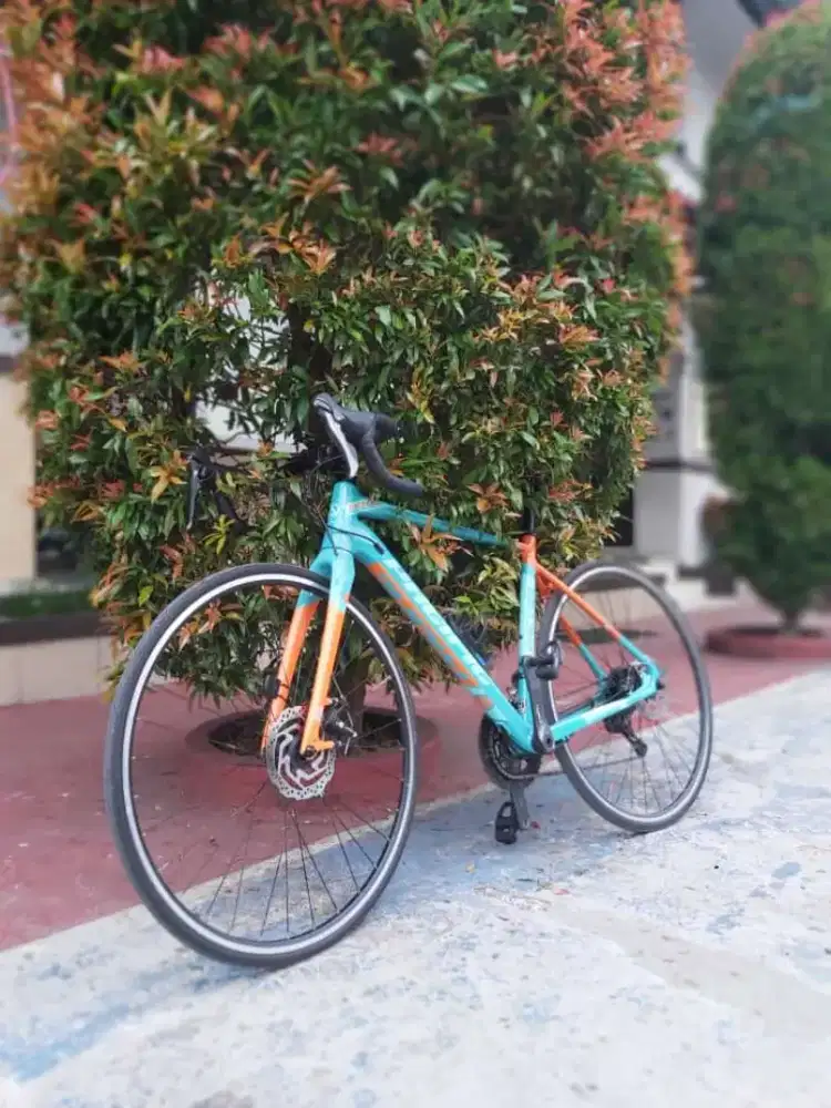 Roadbike Pacific Factor 3.0