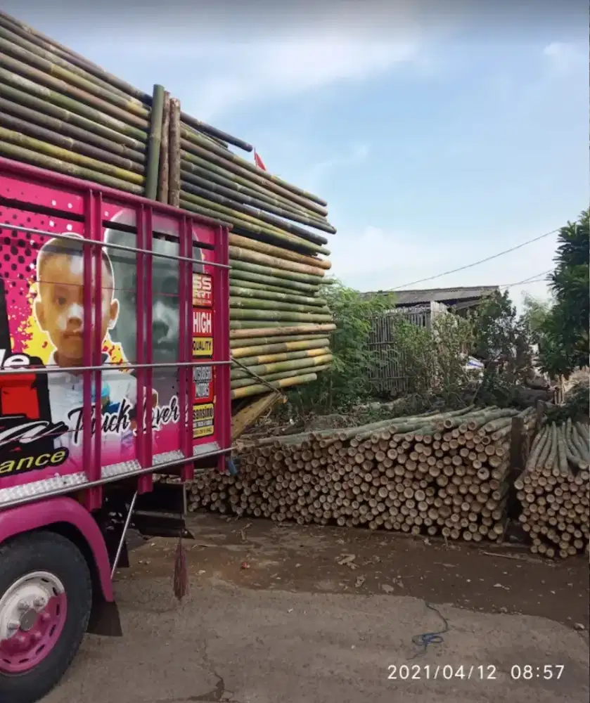 Jual bambu steger 6 meter