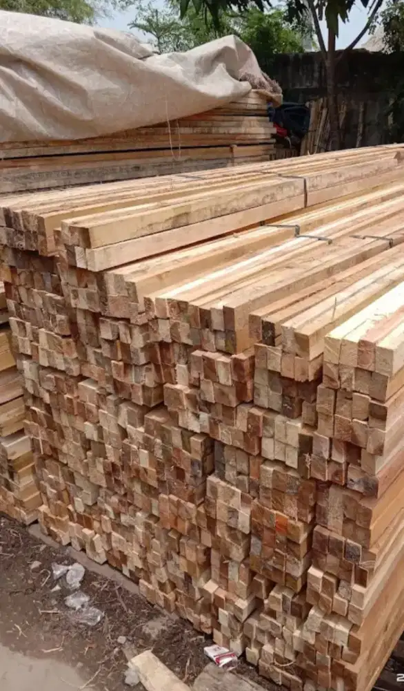 Jual bambu steger 6 meter