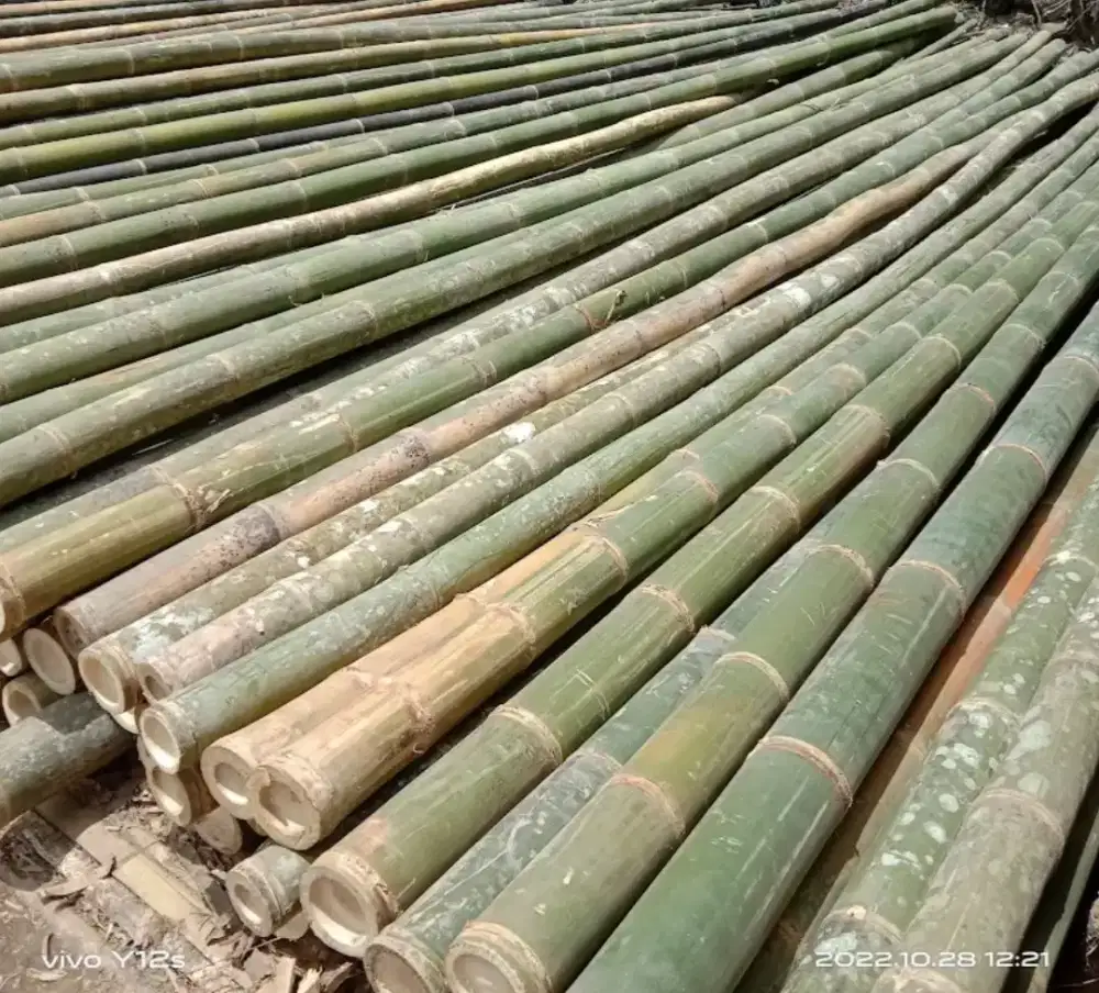 Jual bambu steger cor 6 meter