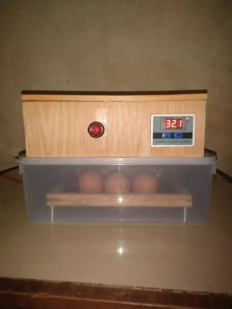 New.incubator.untuk semua jenis unggas.oto matis.
