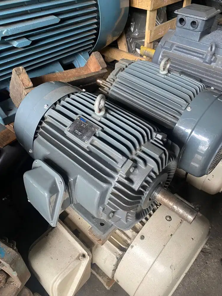 DINAMO TECO ELEKTRO MOTOR 20HP 15KW 4POLE RPM 1500