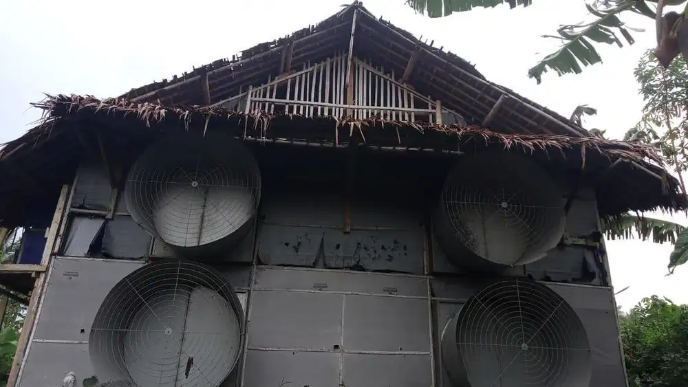 DIJUAL CEPAT TANAH BONUS KANDANG AYAM