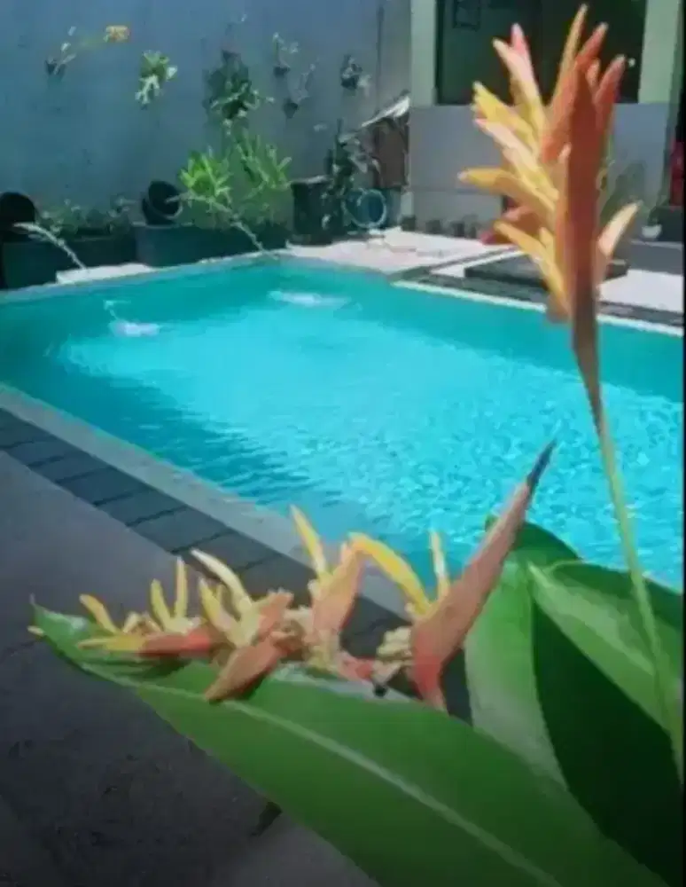 Kost mezanine mahendradata