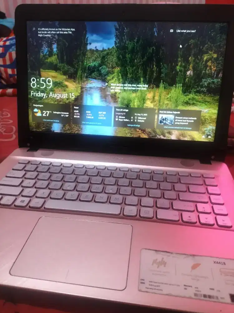 Laptop ASUS X441BA [AMD A9-9425 RADEON R5] Rose Gold