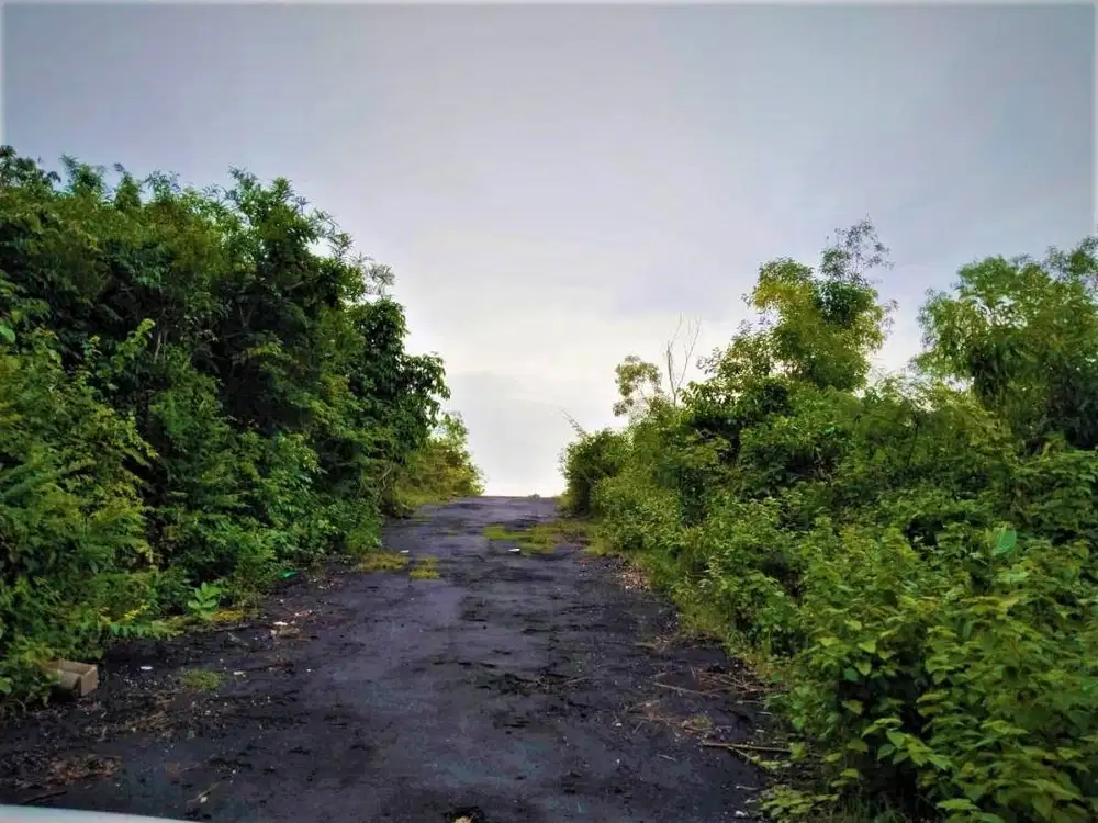 Tanah Kavling Villa @200Sqm di Kutuh, Ungasan Bali