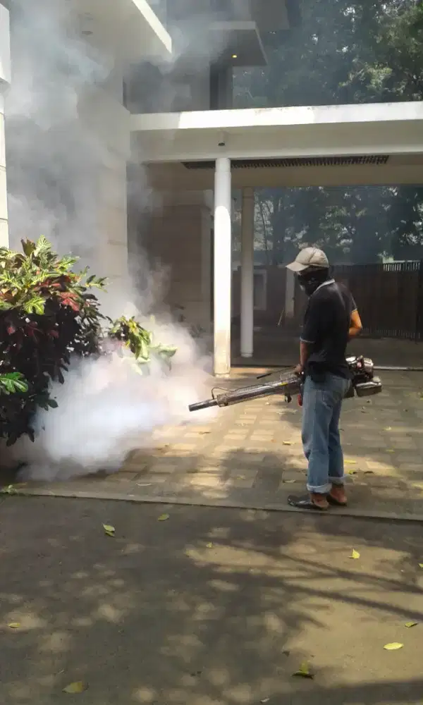 Pest control (foging) Jakarta