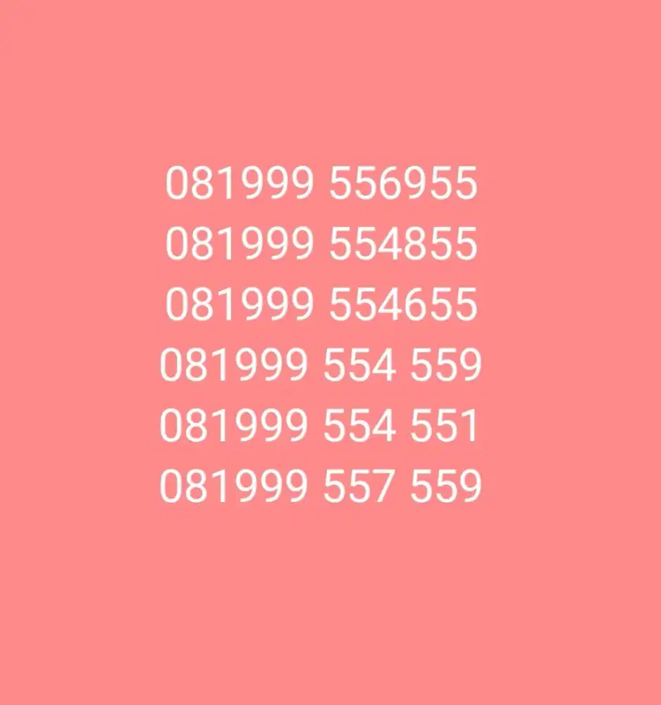 Perdana Cantix XL 081999 55X 55x / 55Xx55