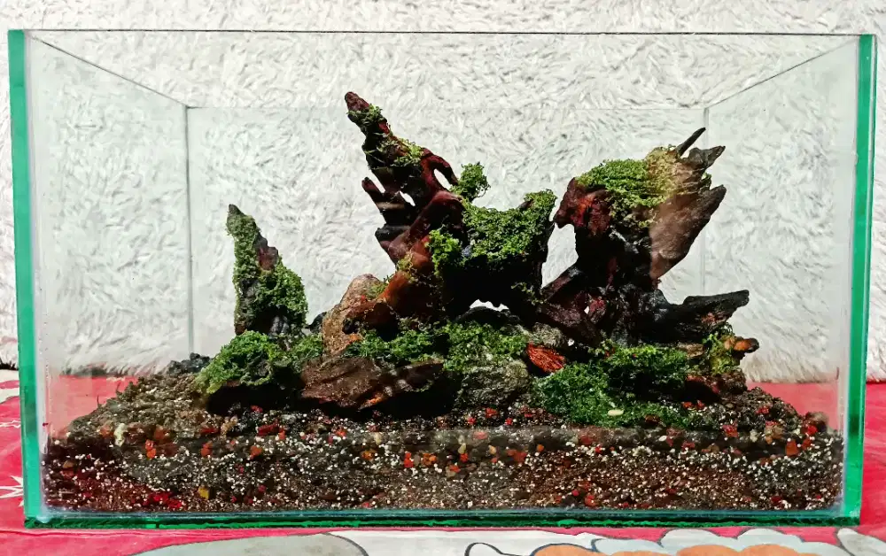 Aquascape + Aquarium P35xL20xT20