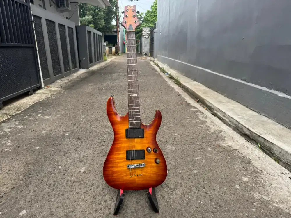 LTD H-101 FM upgrade EMG Pickup