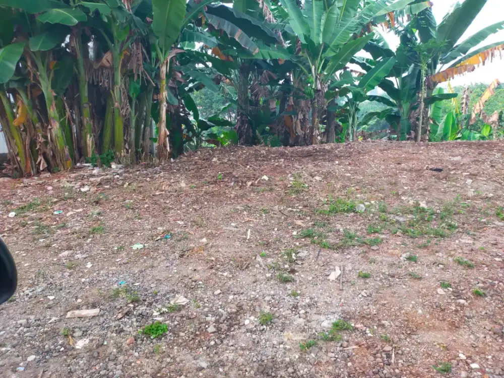 TANAH SIAP BANGUN SRONDOL ADA BANYUMANIK