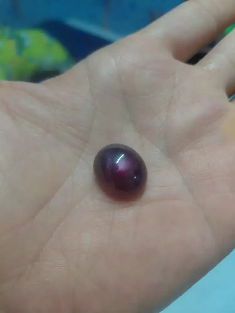 Natural ruby pigion blood
