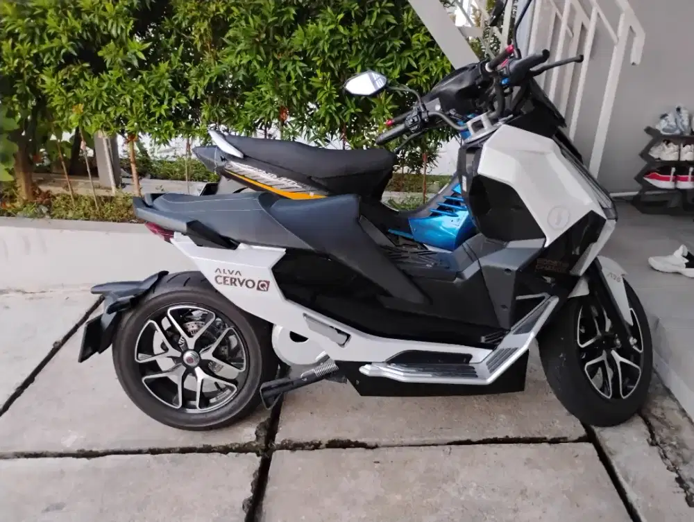 ALVA CERVO Q TIPE TERTINGGI KM LOW