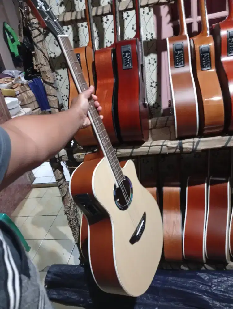 Gitar akustik elektrik apx