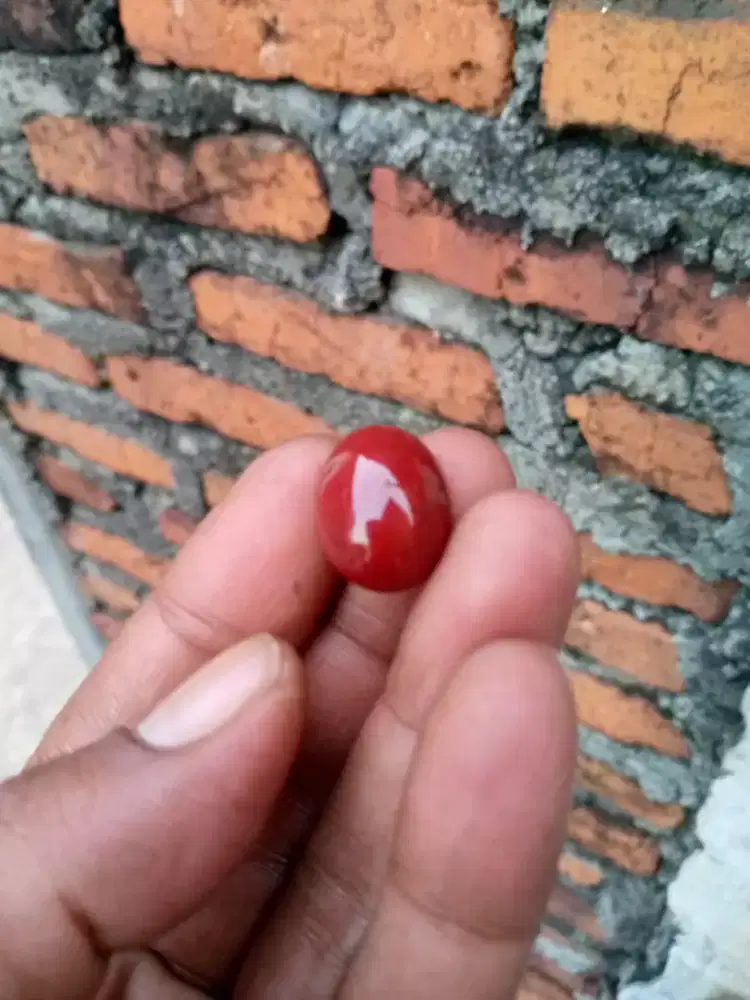 Batu akik ati ayam/ red jasper istimewa