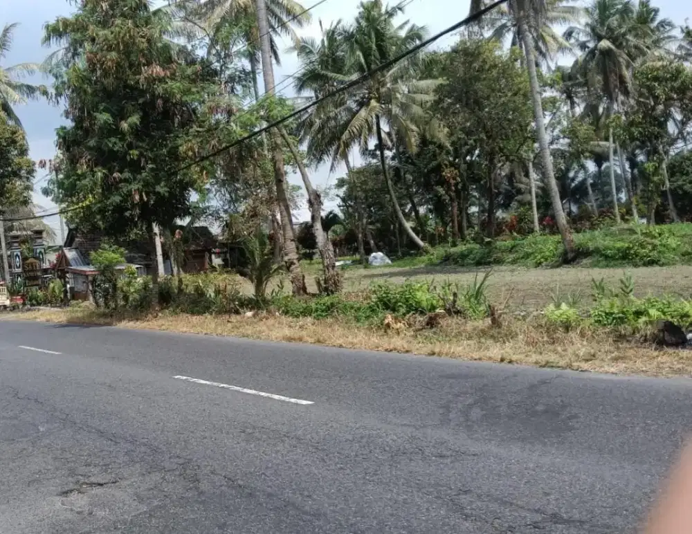 Disewakan tanah jl palagan km 13 cocok untuk villa resto atau gudang