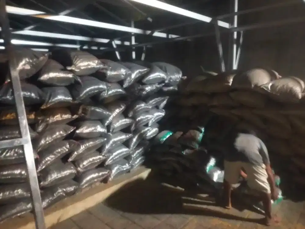 Sekam bakar,sekam lapuk,kohe