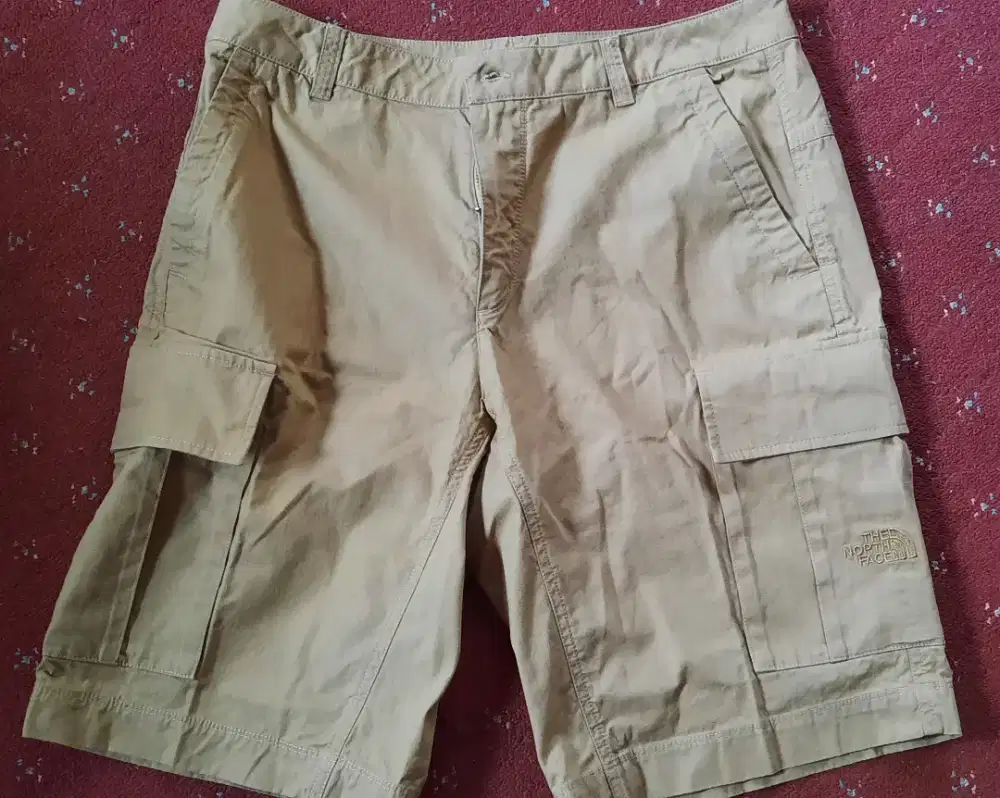 The north Face Short Cargo