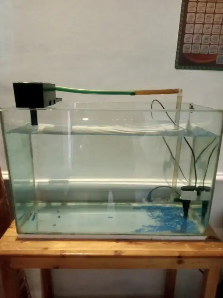 Aquarium sedang
