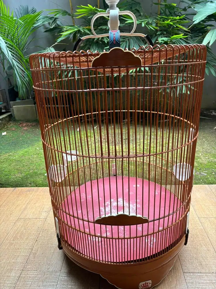 Kandang burung murai nomor 2 KING