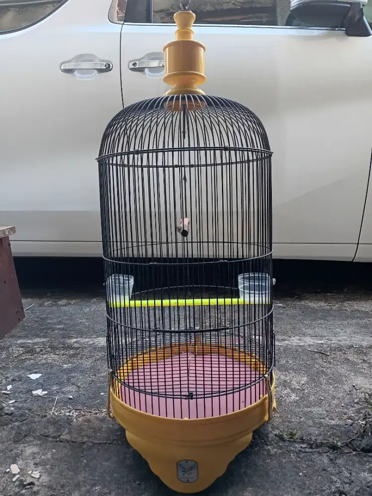 KANDANG SANGKAR BURUNG