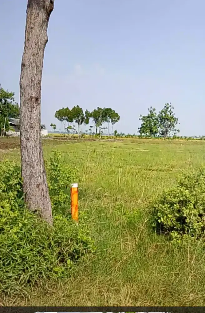 Di Jual Tanah Darat Dan Tambak ( Tanah A1 )