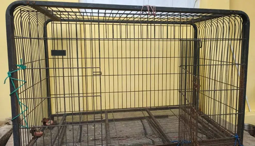 Kandang Anjing Besar bekas PITBULL