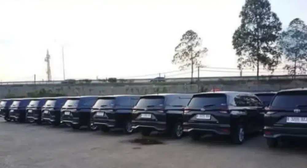 Pengemudi profesional