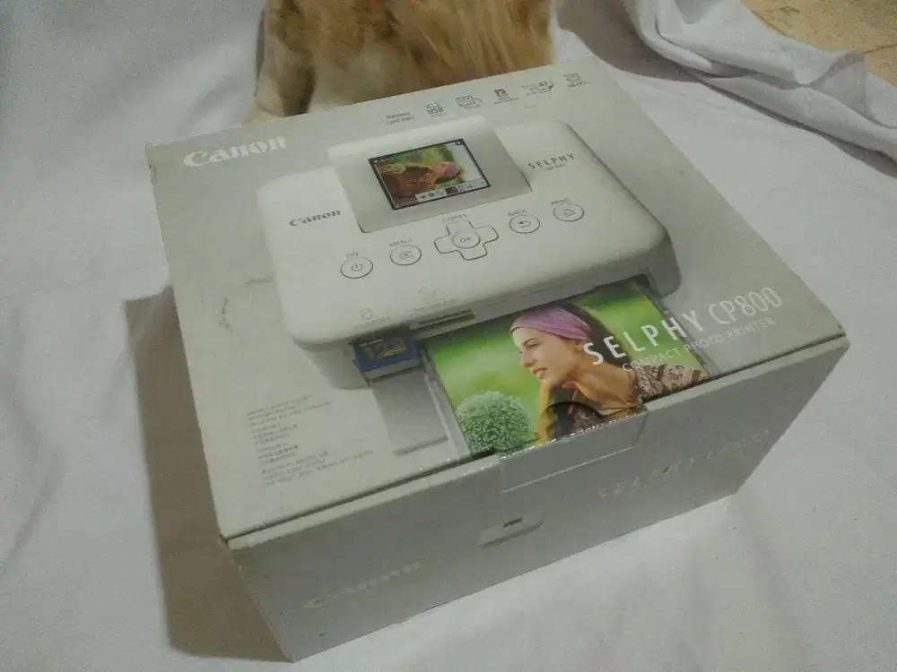 Printer Canon Selphy CP800 Compact Digital Photo Printer