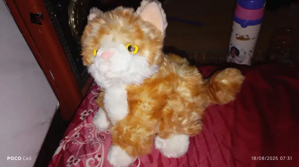 Boneka kucing lucu