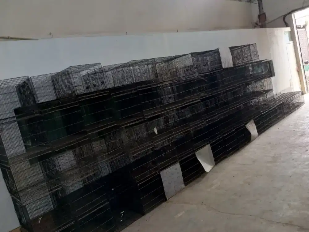 Sangkar besi 60*40cm Lovebird Merpati