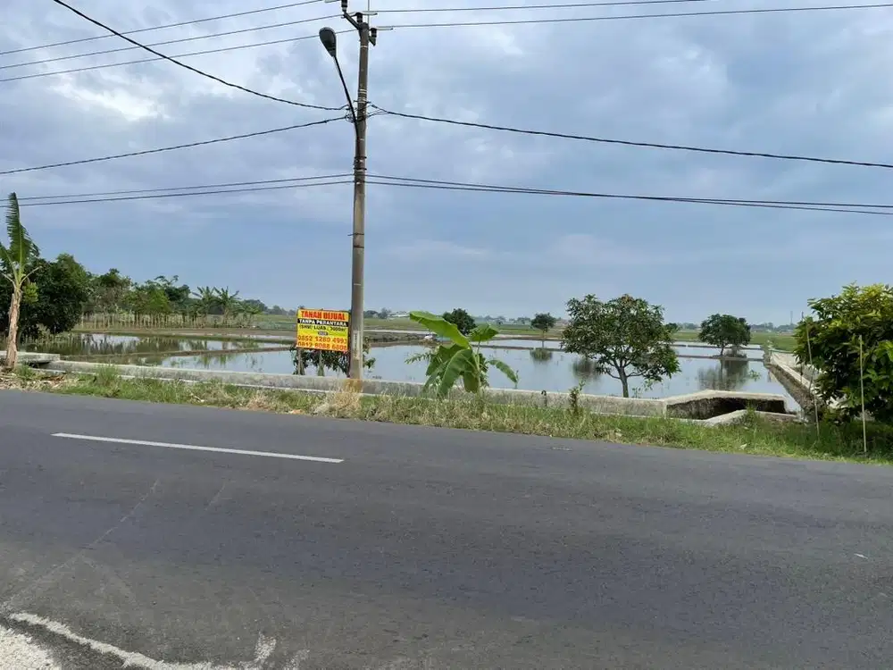 Tanah di jln raya syeh quro