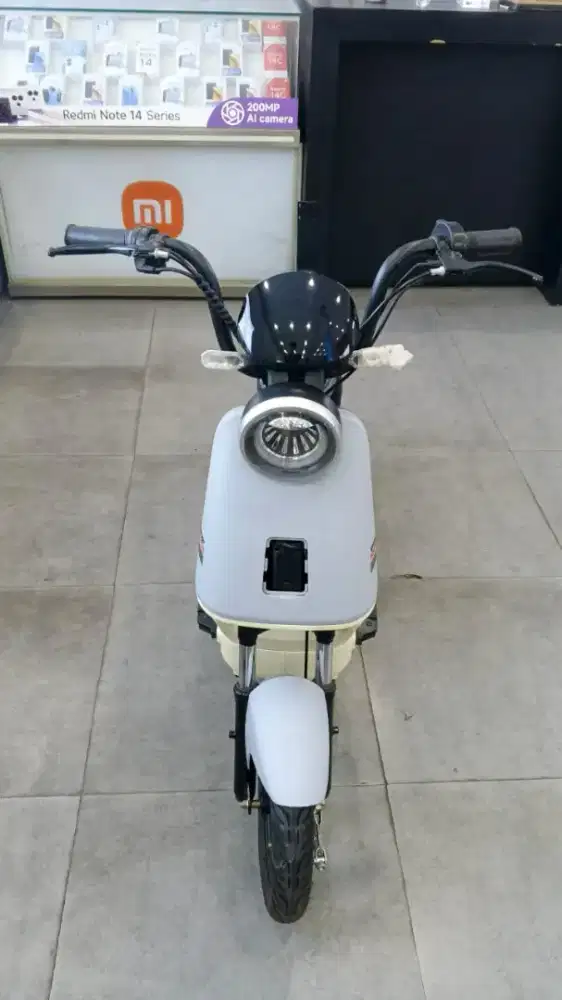 Sepeda listrik Pacific RELICUS