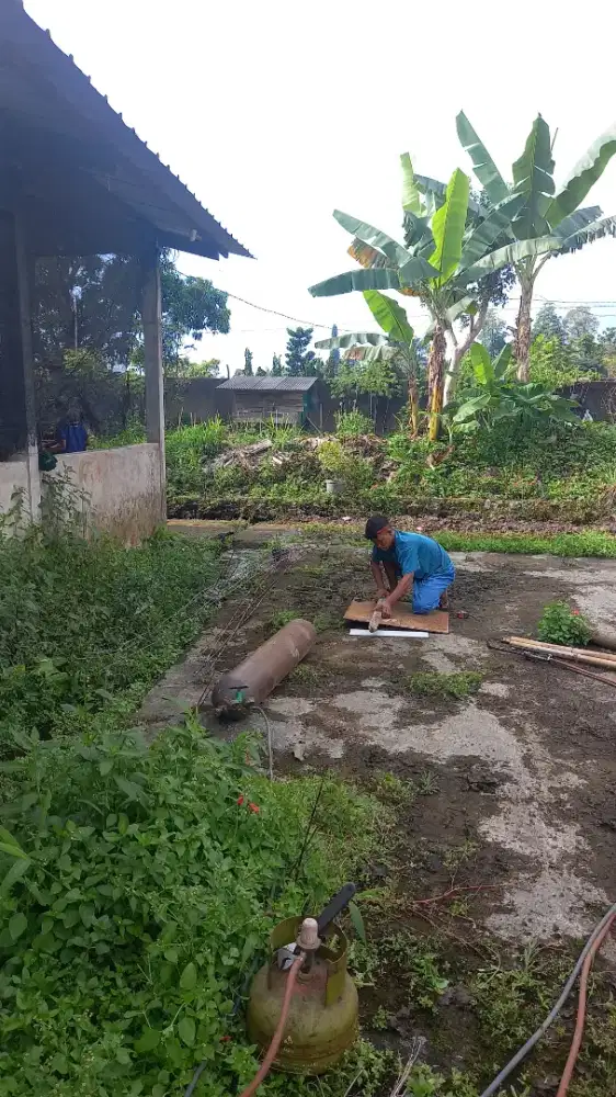 Dibutuhkan petani yg benar ahli berkebun sayuran cipanas puncak.