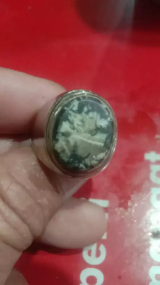 Batu bergambar singa