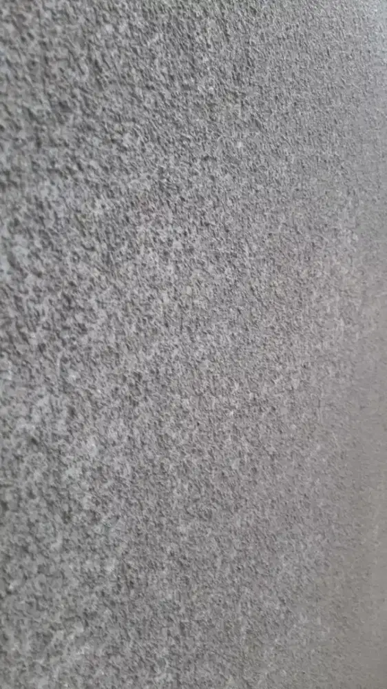 Tukang Spesialis cat texrure / tekstur kamprot paint