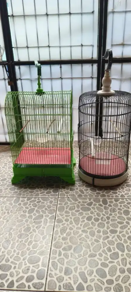 Kandang Kotak dan Bulet