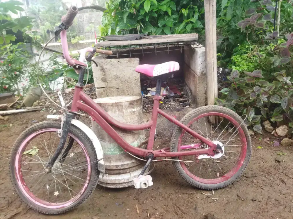 Sepeda anak harus di servis