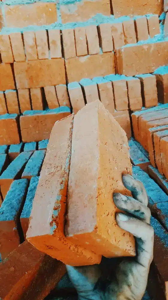 Batu bata merah press