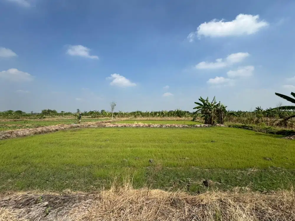 TANAH SAWAH DEKAT PERUMAHAN TAMAN GADING MENGANTI