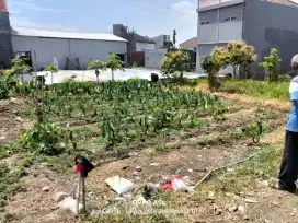 Dijual tanah SHM cocok buat kos2an atau vila