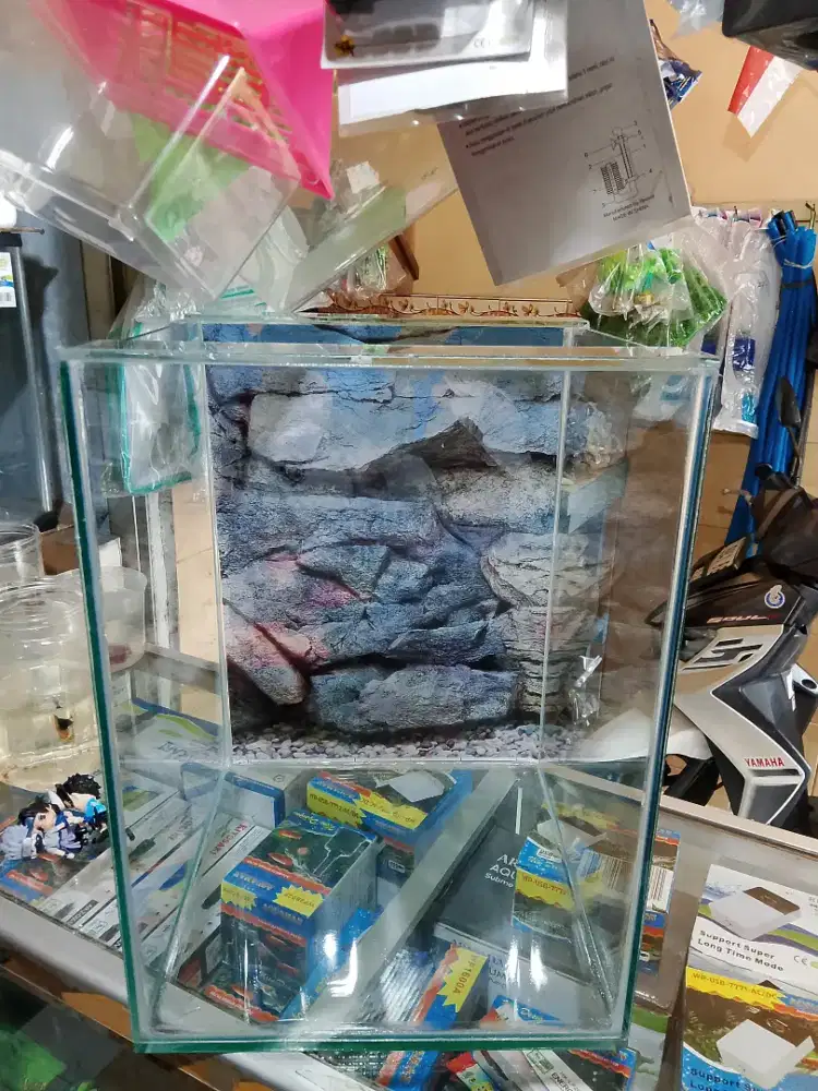 Aquarium 30x30x40 baru cocok untuk louhan