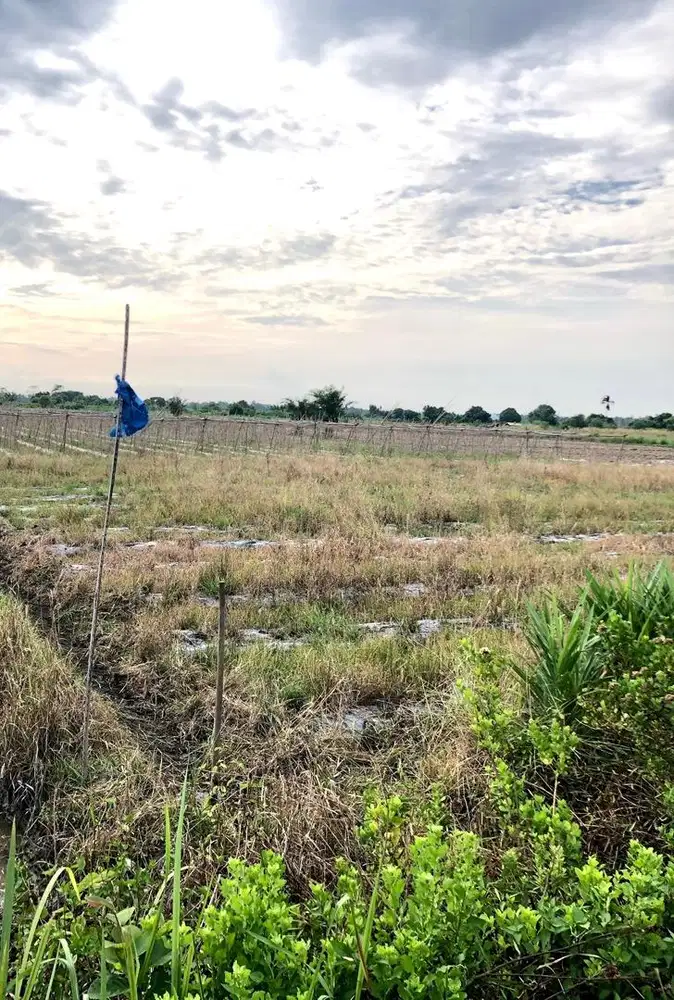 TANAH DI PANTAI LABU DEKAT BANDARA