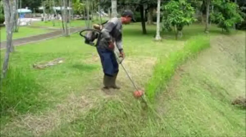 Jasa Potong/Tanam Rumput