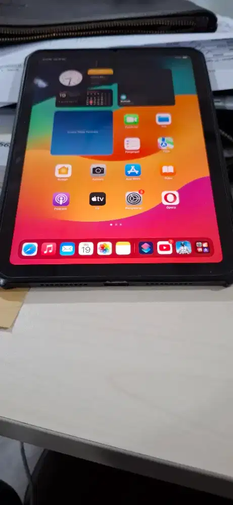 Ipad mini 6 256 GB mulus wifi