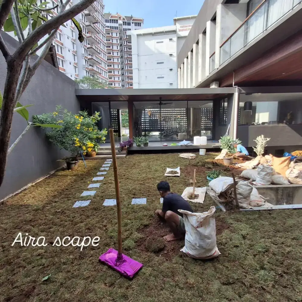 Tukang pasang rumput taman