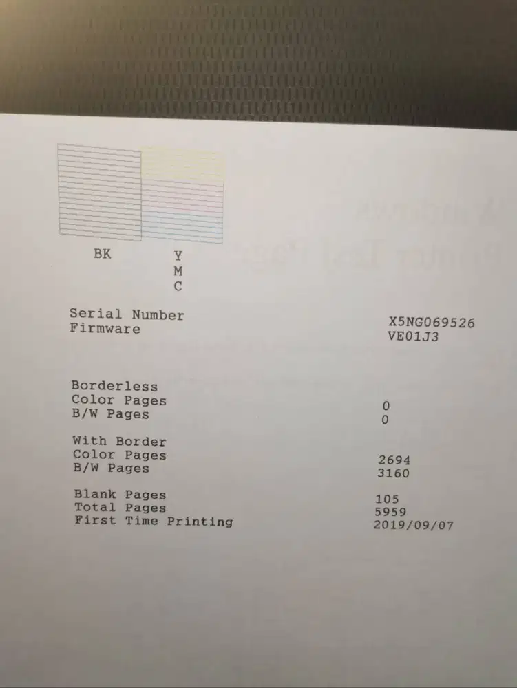 Epson L1110 Sangat Mulus dan Normal